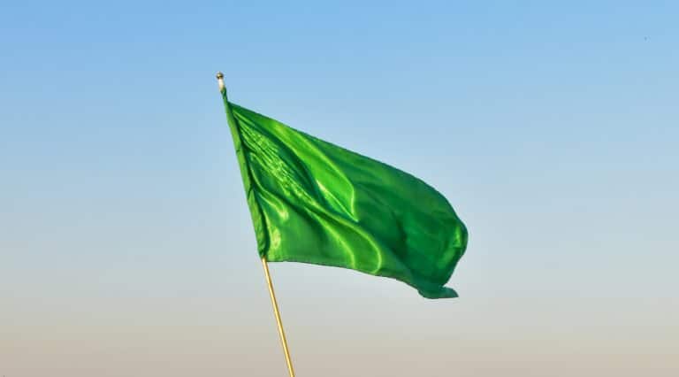 Green Flags in Your Books: Signs Your Business is Financially Healthy
